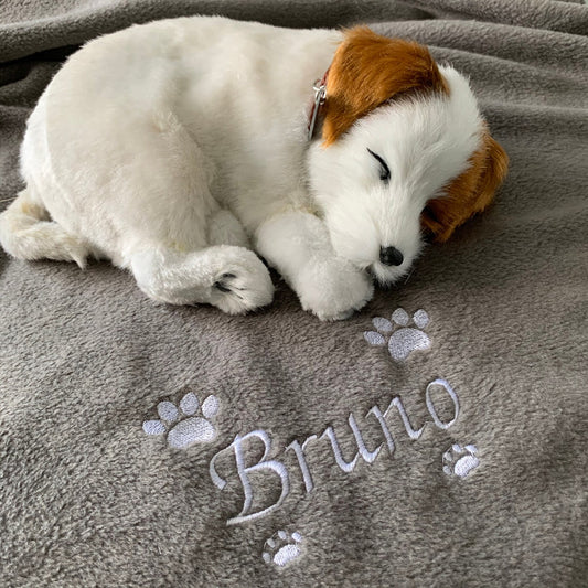 Personalized Pet Blanket II